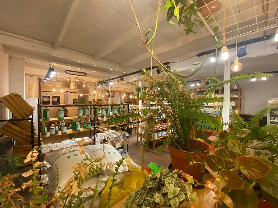 Detalle de productos y flores decorando el local
